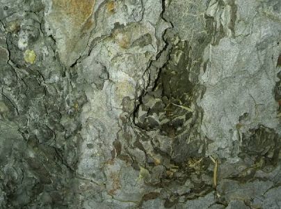 A - nejednoznačne určen&yacute;, nie sme si ist&iacute;