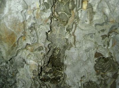 A - nejednoznačne určen&yacute;, nie sme si ist&iacute;