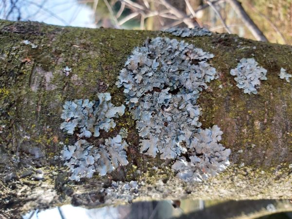 A - nie je v datab&aacute;ze