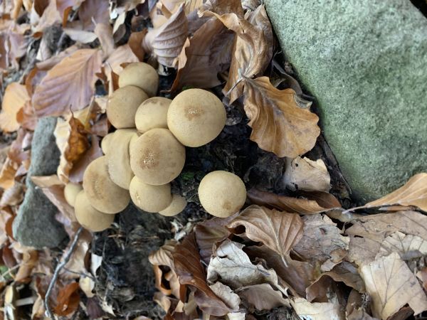 A - nie je v datab&aacute;ze