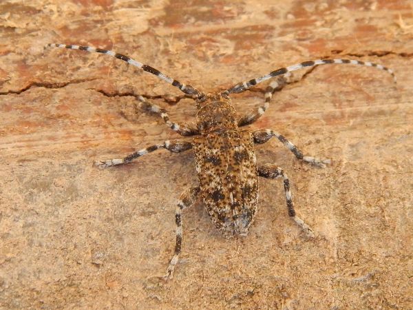 A - nie je v datab&aacute;ze