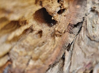 A - nie je v datab&aacute;ze