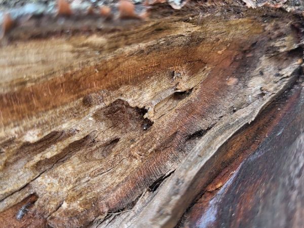 A - nie je v datab&aacute;ze