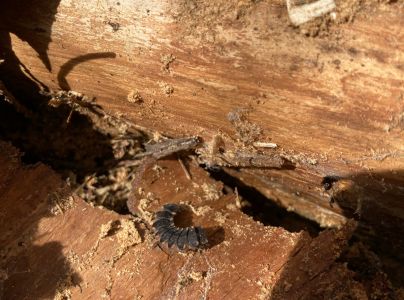 A - nie je v datab&aacute;ze