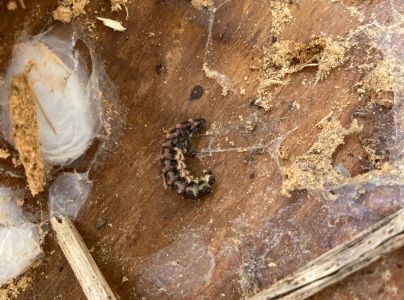 A - nie je v datab&aacute;ze