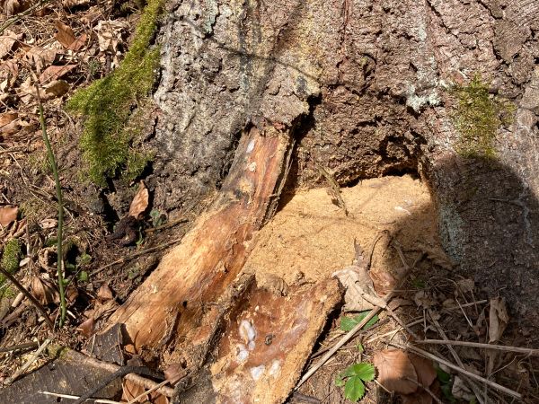 A - nie je v datab&aacute;ze