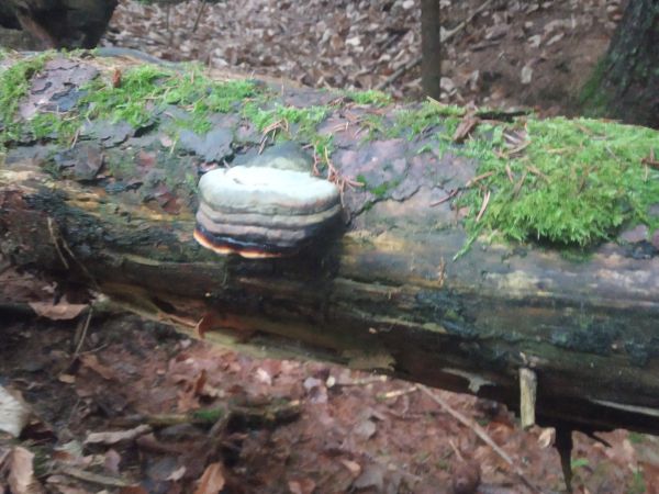 A - nie je v datab&aacute;ze