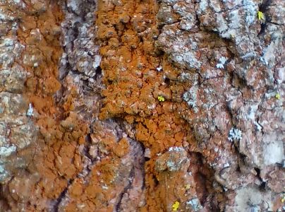 A - nie je v datab&aacute;ze