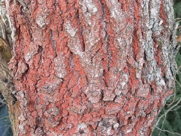 A - nie je v datab&aacute;ze