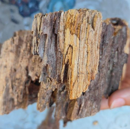 Miroslava Horáková 