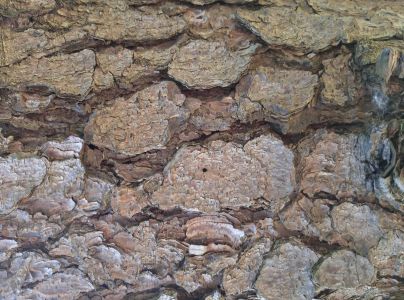 A - nie je v datab&aacute;ze