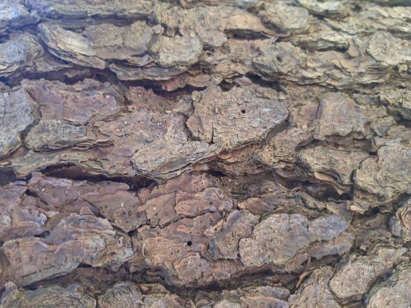 A - nie je v datab&aacute;ze