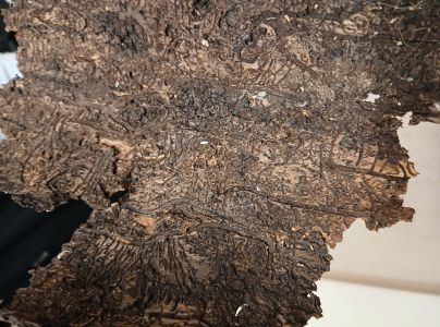 A - nejednoznačne určen&yacute;, nie sme si ist&iacute;