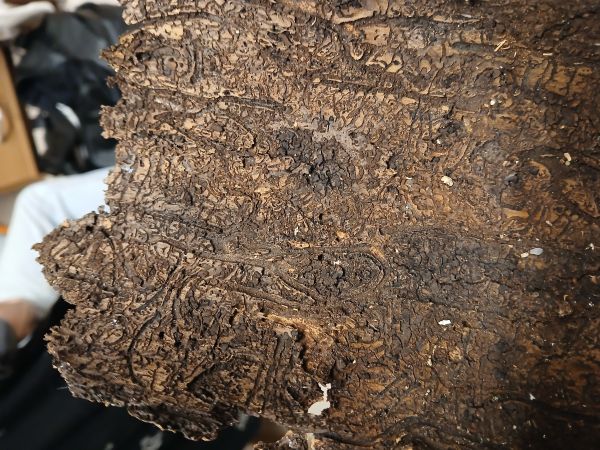 A - nejednoznačne určen&yacute;, nie sme si ist&iacute;