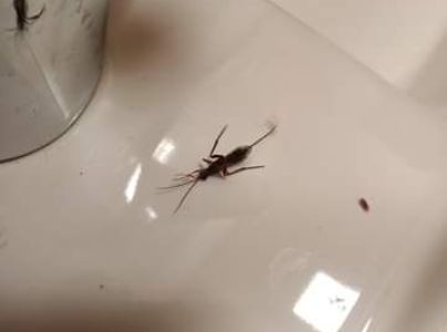 A - nejednoznačne určen&yacute;, nie sme si ist&iacute;