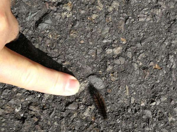 A - nejednoznačne určen&yacute;, nie sme si ist&iacute;