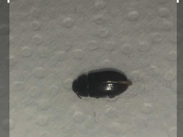 A - nie je v datab&aacute;ze