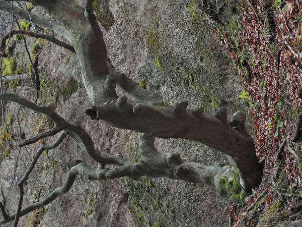 A - nejednoznačne určen&yacute;, nie sme si ist&iacute;