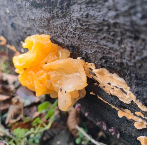 Martina Sucháňová 