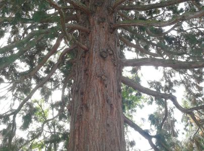 A - nie je v datab&aacute;ze