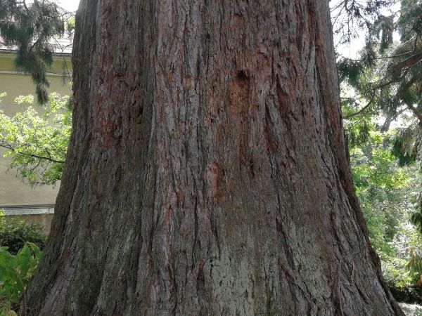 A - nie je v datab&aacute;ze