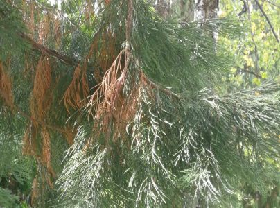 A - nie je v datab&aacute;ze