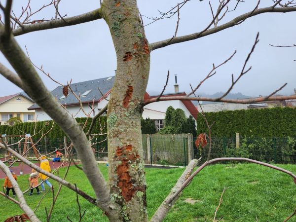 A - nejednoznačne určen&yacute;, nie sme si ist&iacute;