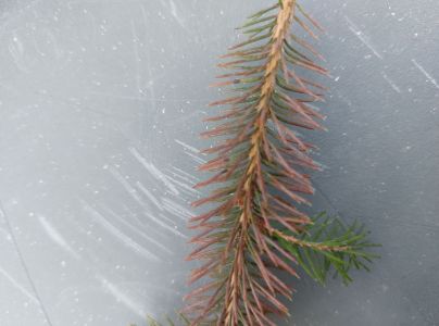 A - nie je v datab&aacute;ze