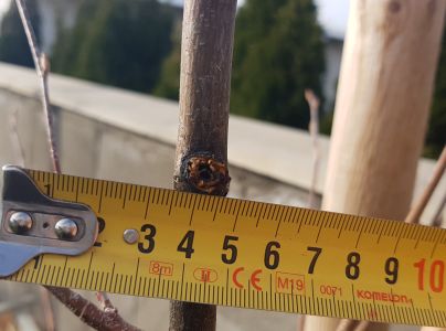 A - nejednoznačne určen&yacute;, nie sme si ist&iacute;