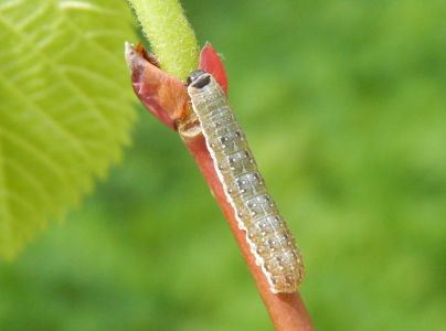 A - nie je v datab&aacute;ze