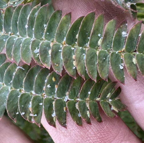 Ivan Dubnica nad Váhom