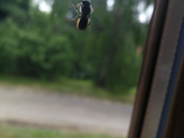 A - nie je v datab&aacute;ze