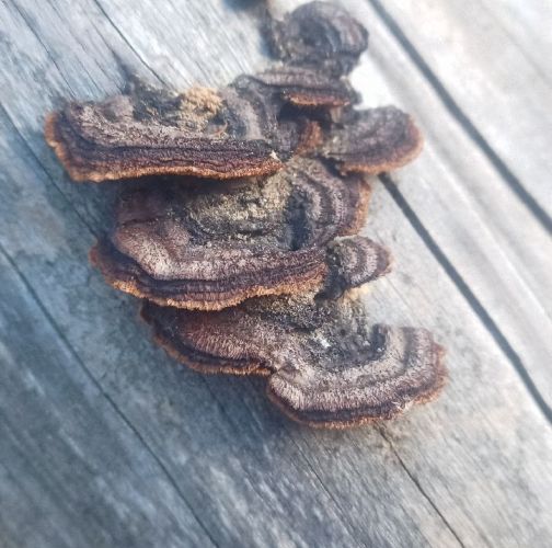 Slavomír Nábočík