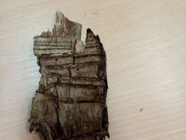 A - nie je v datab&aacute;ze