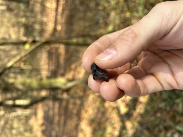 A - nejednoznačne určen&yacute;, nie sme si ist&iacute;