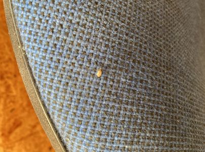 A - nejednoznačne určen&yacute;, nie sme si ist&iacute;