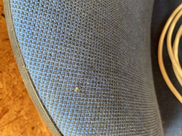 A - nejednoznačne určen&yacute;, nie sme si ist&iacute;