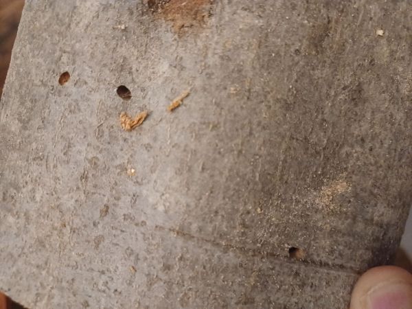 A - nejednoznačne určen&yacute;, nie sme si ist&iacute;