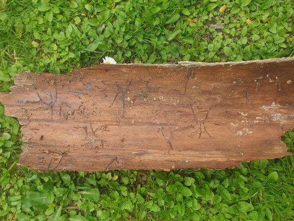 A - nejednoznačne určen&yacute;, nie sme si ist&iacute;