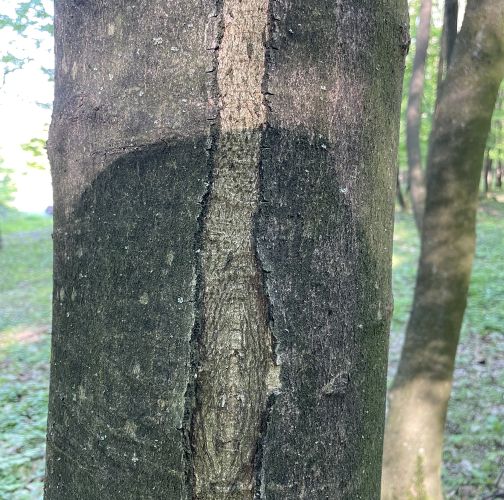  Vladimír Šalgovič