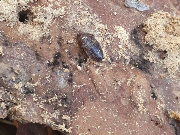 A - nie je v datab&aacute;ze