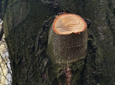A - nejednoznačne určen&yacute;, nie sme si ist&iacute;