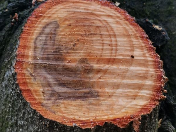 A - nejednoznačne určen&yacute;, nie sme si ist&iacute;