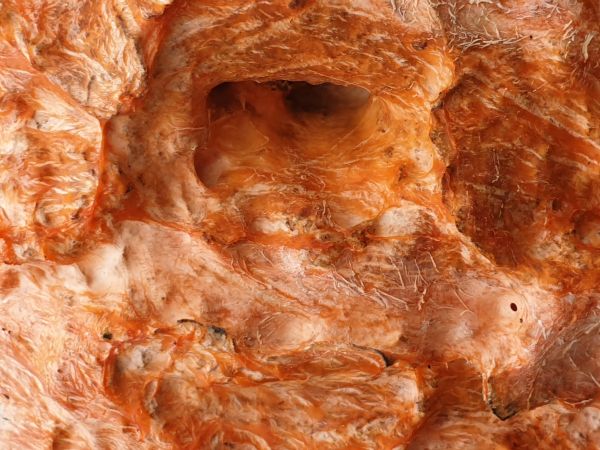 Oranžov&aacute; k&ocirc;ra