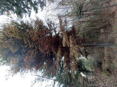 A - nejednoznačne určen&yacute;, nie sme si ist&iacute;