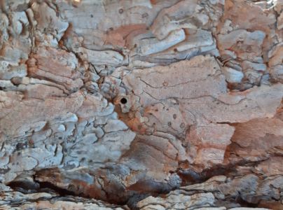 A - nie je v datab&aacute;ze