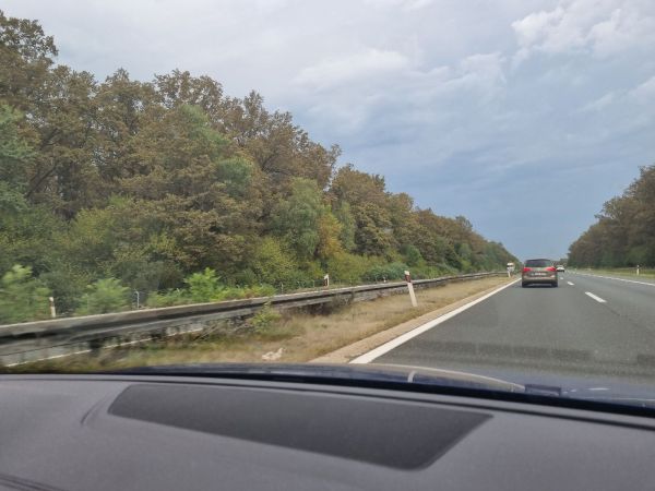 Sietnička dubov&aacute;