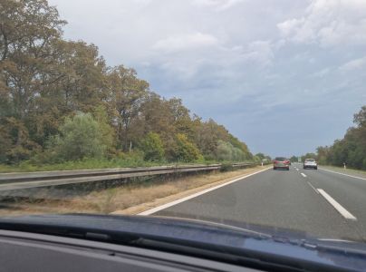 Sietnička dubov&aacute;