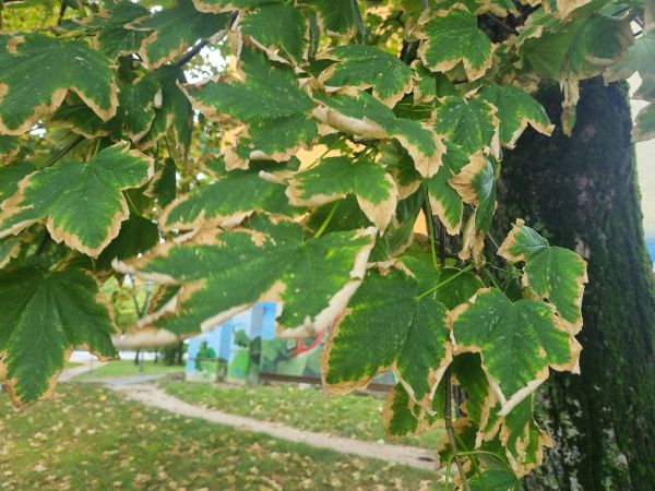 Teplo, sucho a &uacute;pal