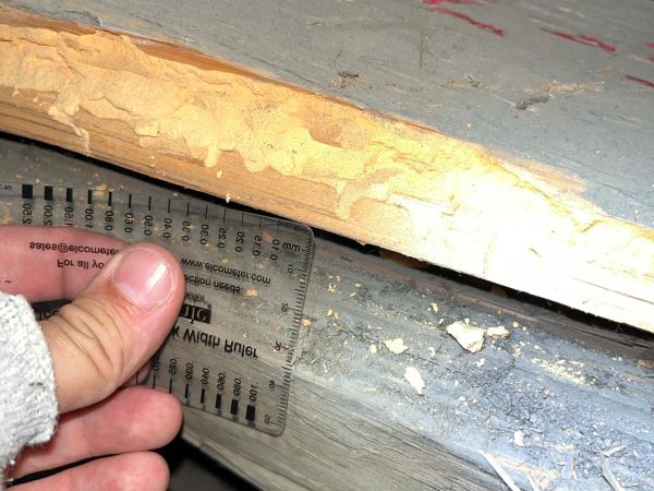 Fuz&aacute;č krovov&yacute;